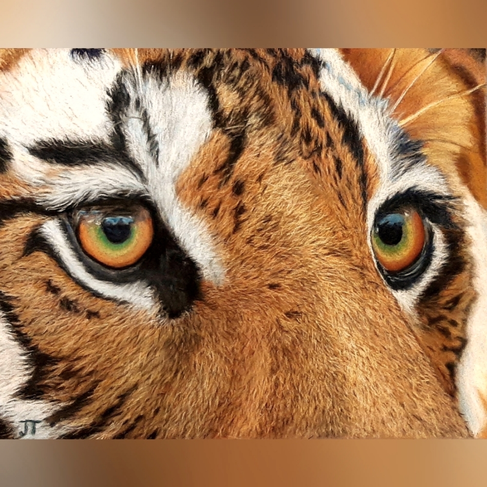 Example of my work.  Tiger eyes